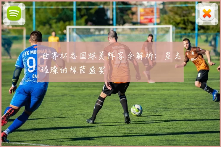 世界杯各国球员阵容全解析:星光璀璨的绿茵盛宴