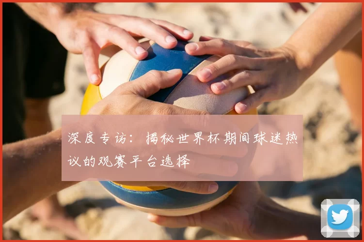 深度专访:揭秘世界杯期间球迷热议的观赛平台选择