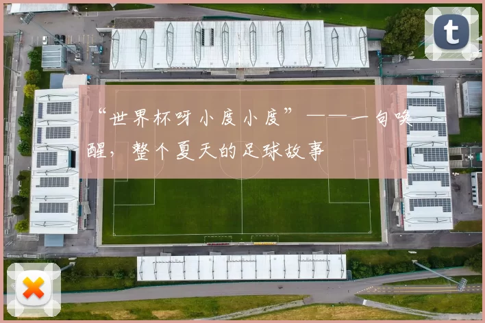 “世界杯呀小度小度”——一句唤醒,整个夏天的足球故事