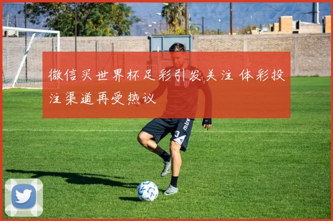 微信买世界杯足彩引发关注 体彩投注渠道再受热议