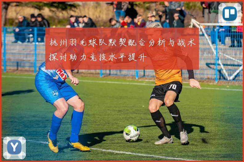 杭州羽毛球队默契配合分析与战术探讨助力竞技水平提升