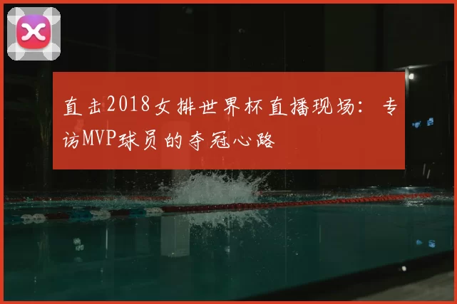 直击2018女排世界杯直播现场:专访MVP球员的夺冠心路