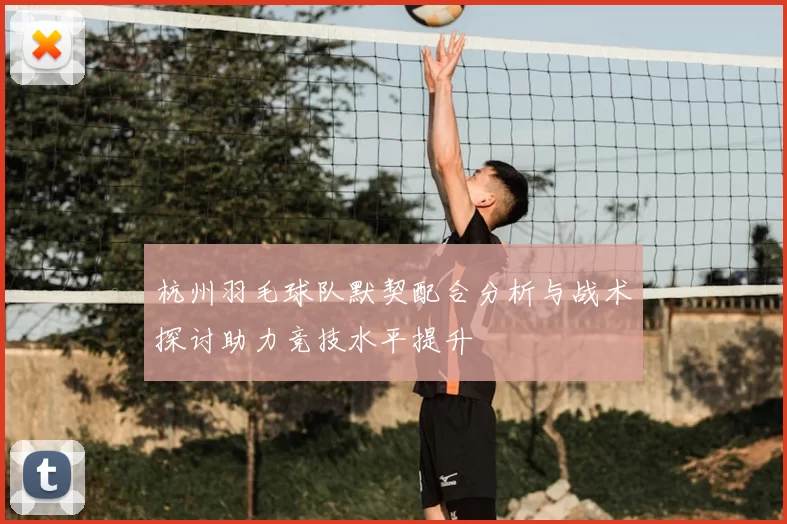 杭州羽毛球队默契配合分析与战术探讨助力竞技水平提升