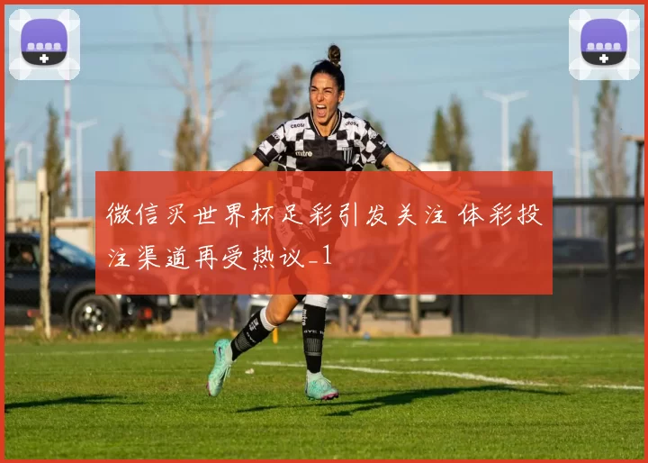 微信买世界杯足彩引发关注 体彩投注渠道再受热议_1
