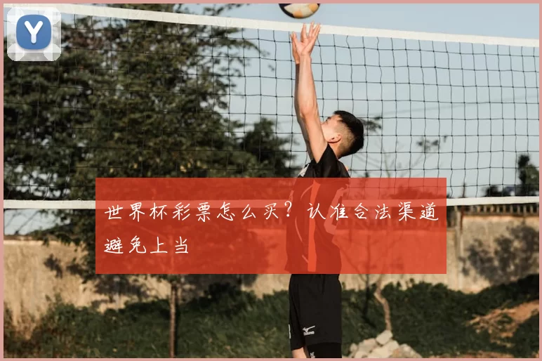 世界杯彩票怎么买？认准合法渠道避免上当