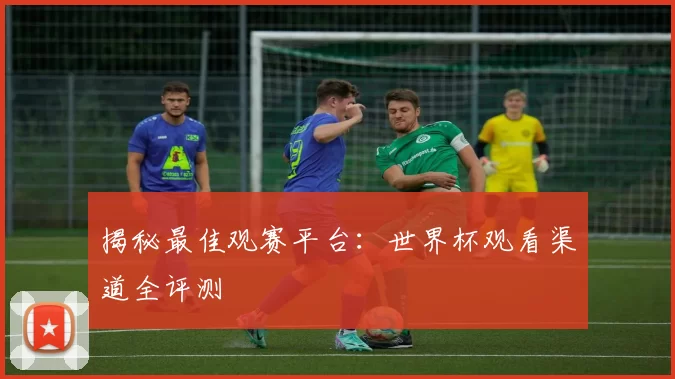 揭秘最佳观赛平台:世界杯观看渠道全评测