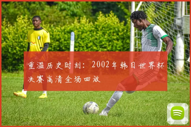 重温历史时刻:2002年韩日世界杯决赛高清全场回放