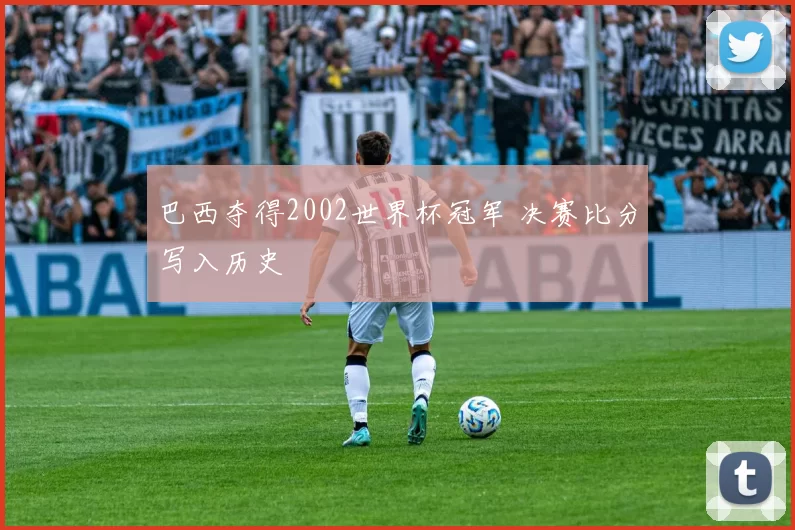 巴西夺得2002世界杯冠军 决赛比分写入历史