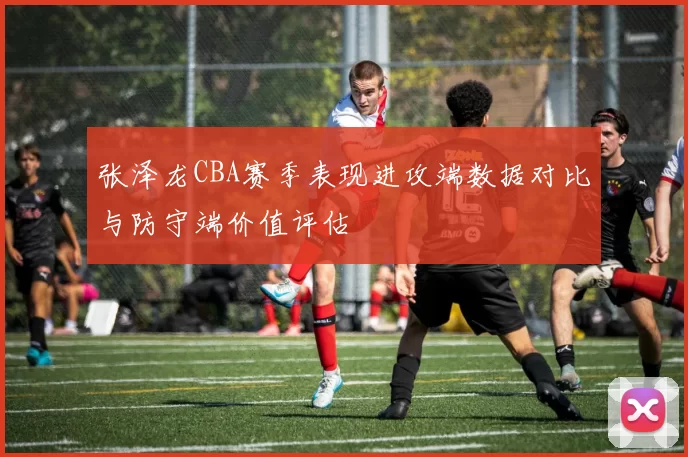 张泽龙CBA赛季表现进攻端数据对比与防守端价值评估