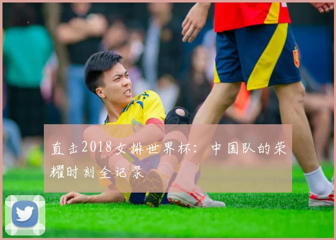 直击2018女排世界杯:中国队的荣耀时刻全记录