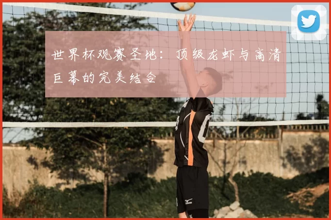 世界杯观赛圣地：顶级龙虾与高清巨幕的完美结合