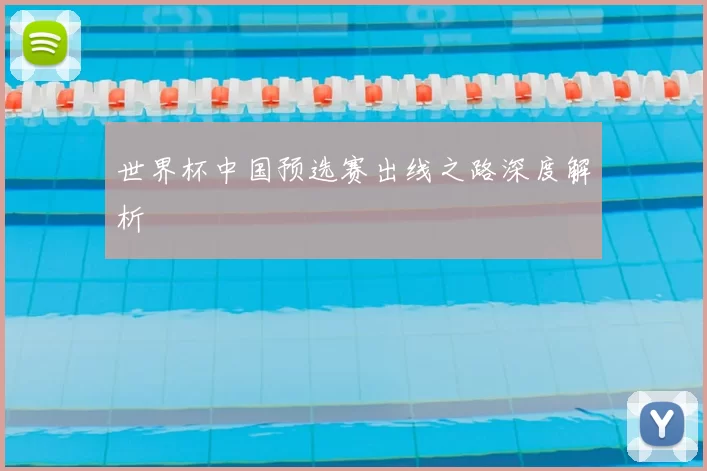 世界杯中国预选赛出线之路深度解析