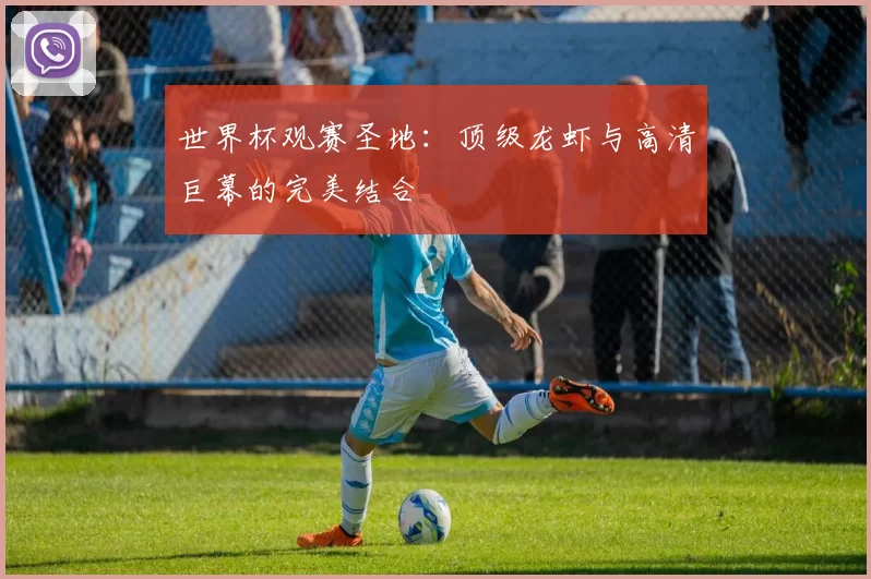 世界杯观赛圣地:顶级龙虾与高清巨幕的完美结合