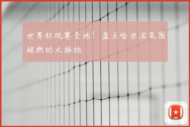 世界杯观赛圣地!盘点哈尔滨氛围超燃的大排档
