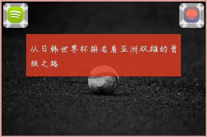 从日韩世界杯排名看亚洲双雄的晋级之路