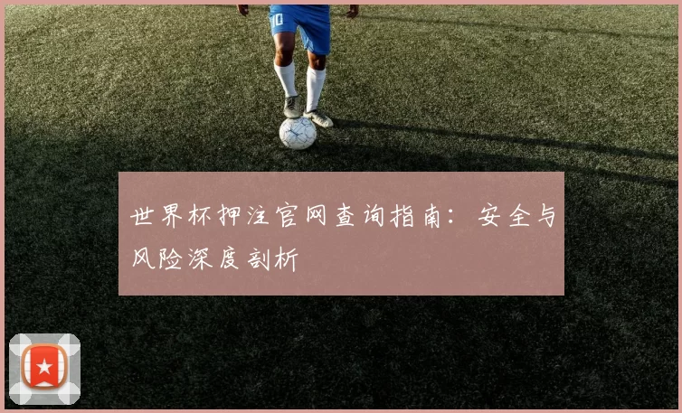 世界杯押注官网查询指南:安全与风险深度剖析
