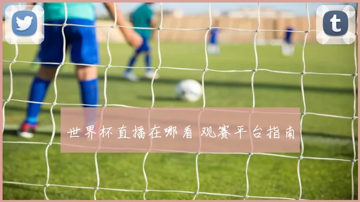世界杯直播在哪看 观赛平台指南