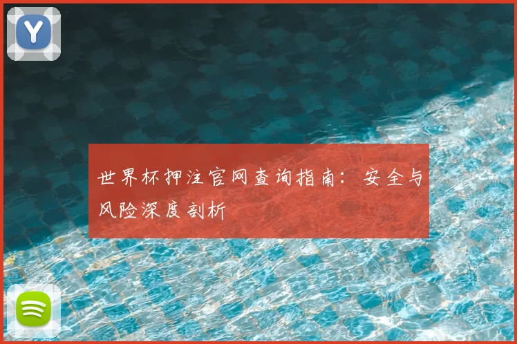 世界杯押注官网查询指南：安全与风险深度剖析