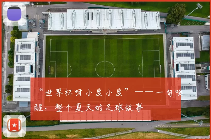 “世界杯呀小度小度”——一句唤醒,整个夏天的足球故事
