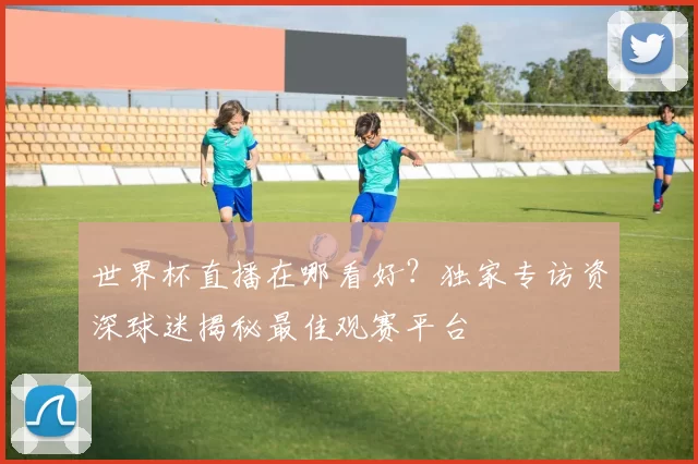 世界杯直播在哪看好?独家专访资深球迷揭秘最佳观赛平台